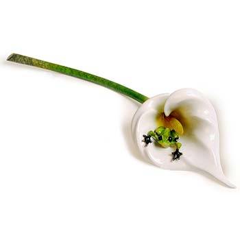 Calla Lily Bronze Frog