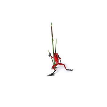 Cattail Bronze Frog