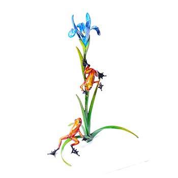 Iris Bronze Frog