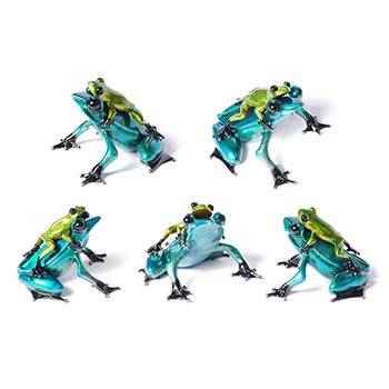 Joy Ride Bronze Frog