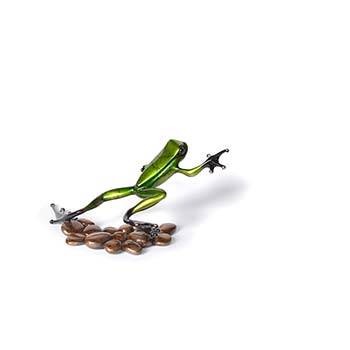 Stepping Stone Bronze Frog