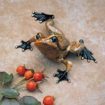 Toady Bronze Frog
