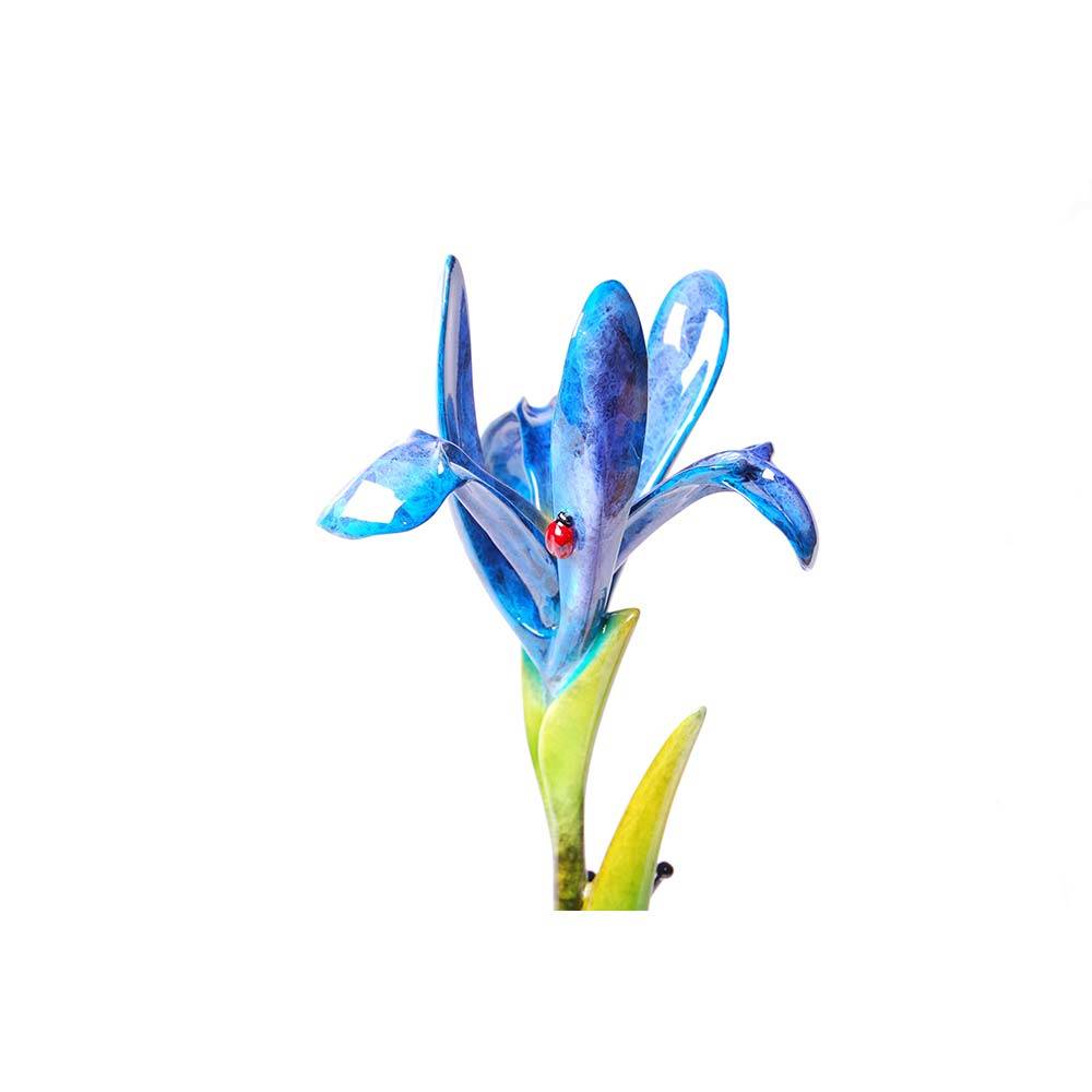 Iris Bronze Frog