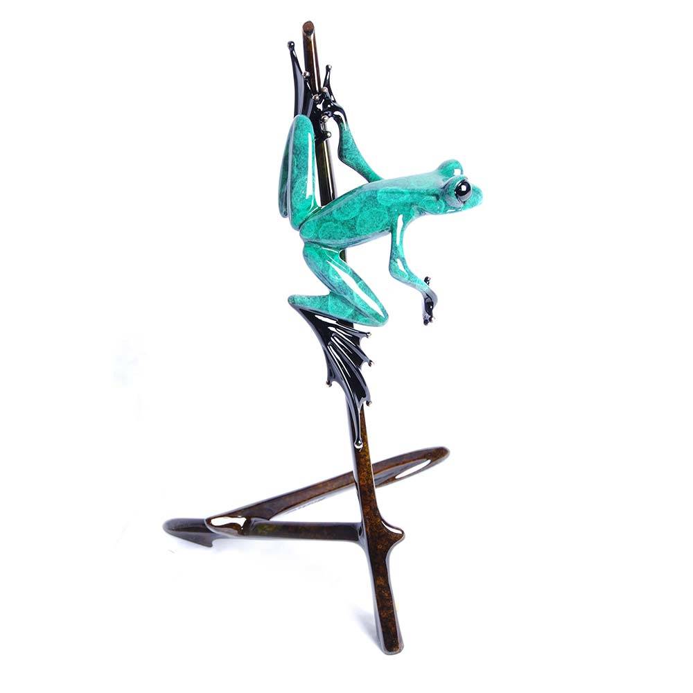 I-Spy Bronze Frog