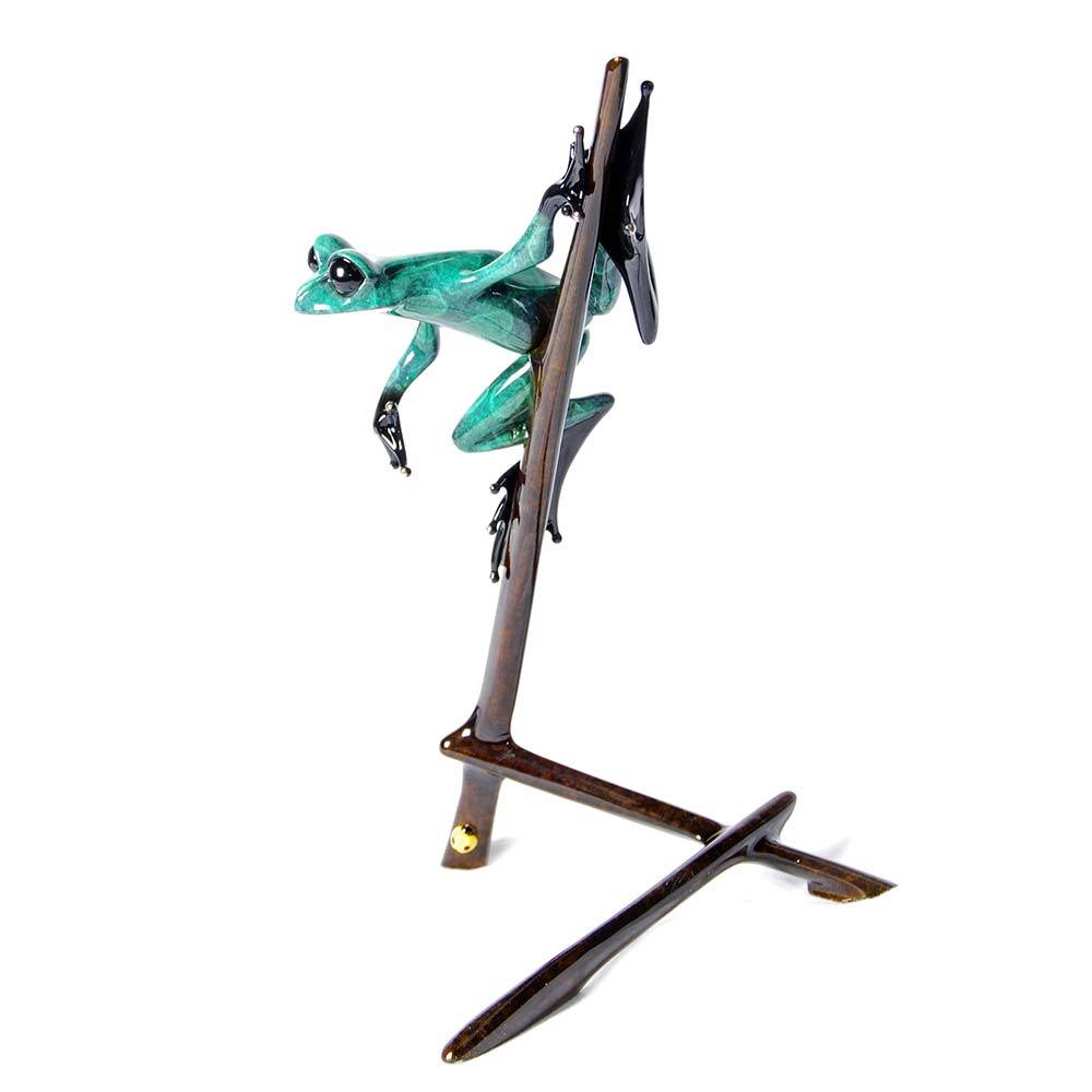 I-Spy Bronze Frog