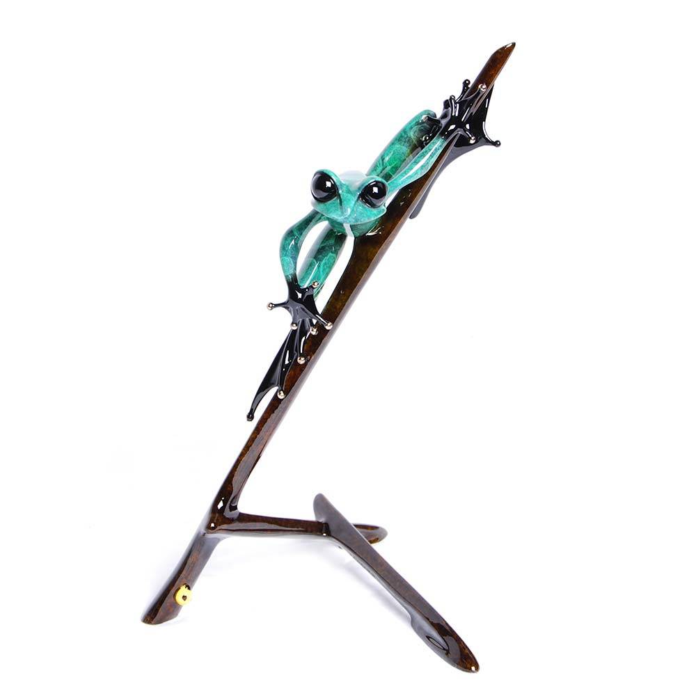 I-Spy Bronze Frog