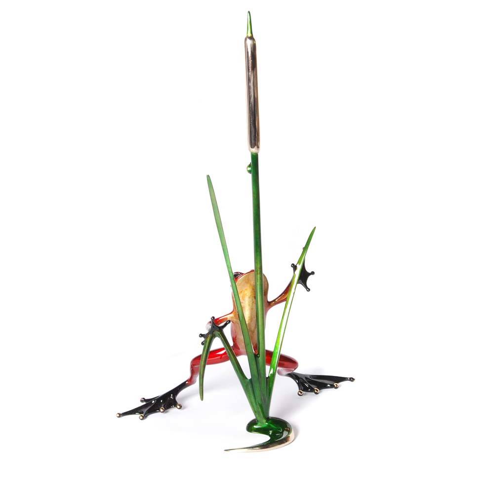 Cattail Bronze Frog