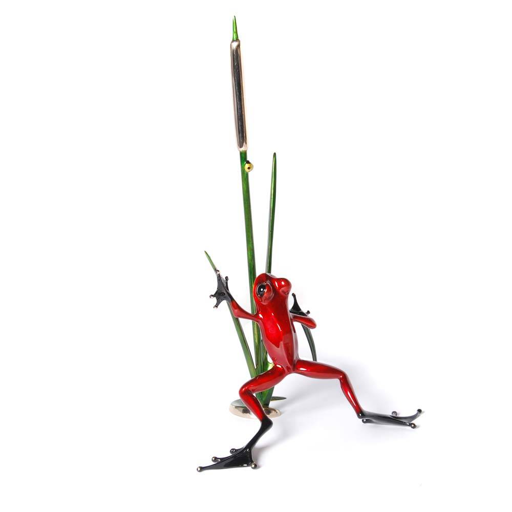Cattail Bronze Frog